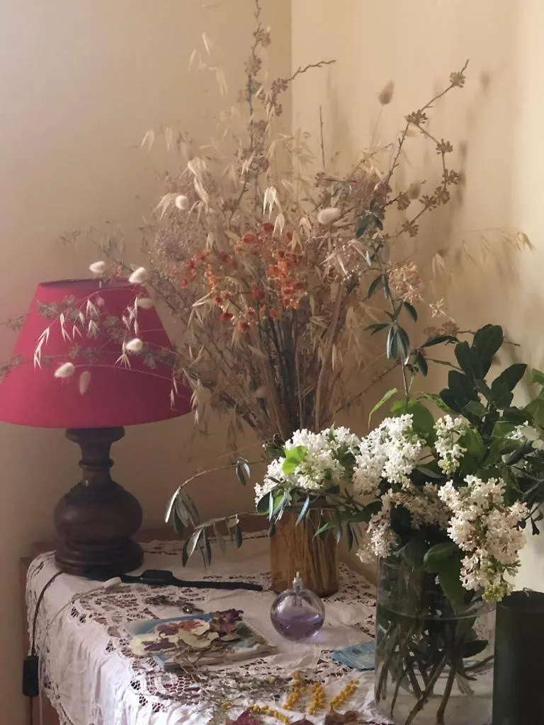 Il Nido Di Rondine Apartment Siena