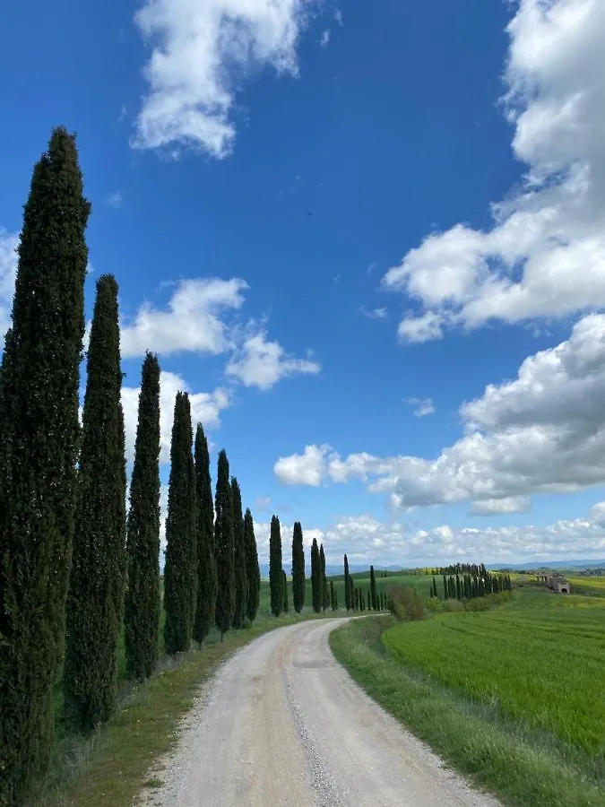 Il Nido Di Rondine Apartment Siena