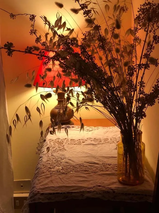 Il Nido Di Rondine Apartment Siena 0*,