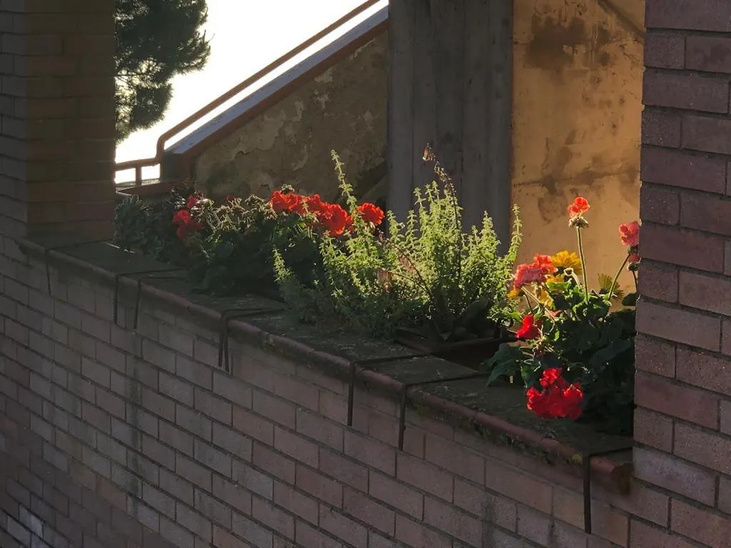 Il Nido Di Rondine Apartment Siena Italy