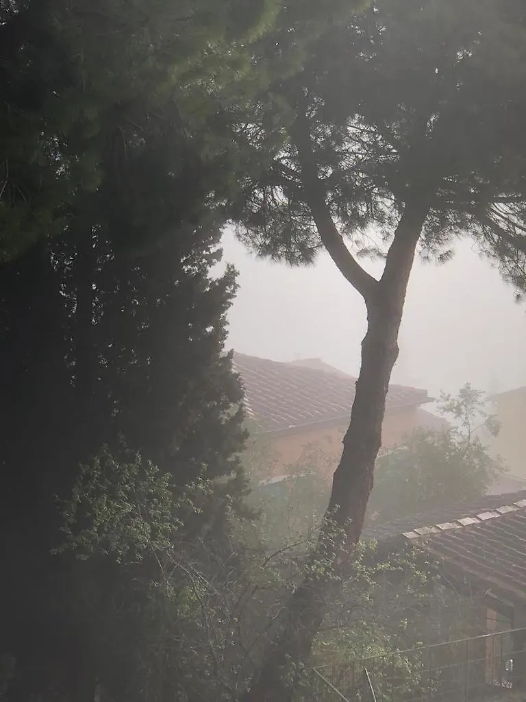 Il Nido Di Rondine Apartment Siena